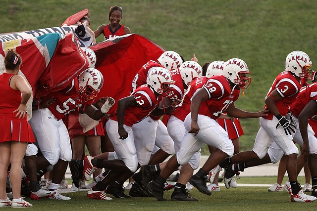 这种严格的 这种严格的