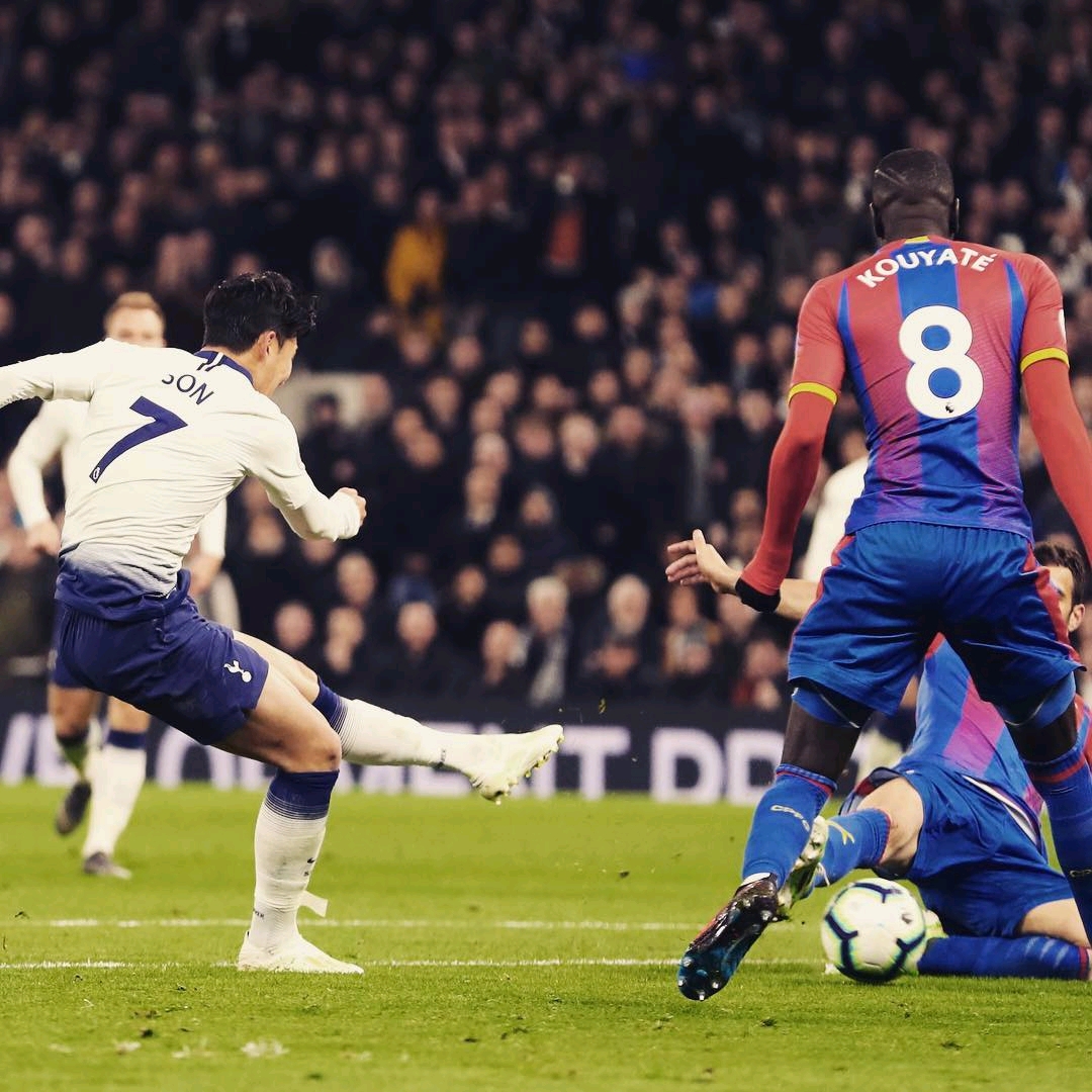 林狼的比赛 林狼的比赛